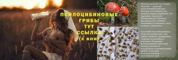 ПСИЛОЦИБИНОВЫЕ ГРИБЫ Баксан
