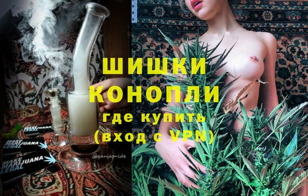 ПСИЛОЦИБИНОВЫЕ ГРИБЫ Баксан