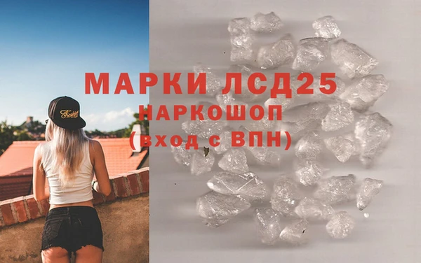 ПСИЛОЦИБИНОВЫЕ ГРИБЫ Баксан