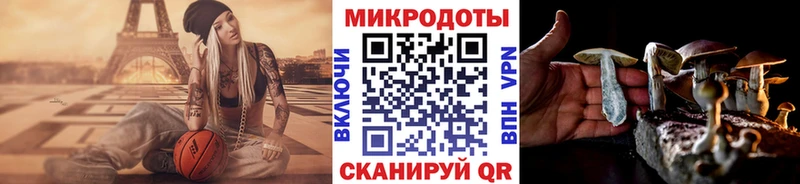 закладки  Окуловка  Псилоцибиновые грибы GOLDEN TEACHER 